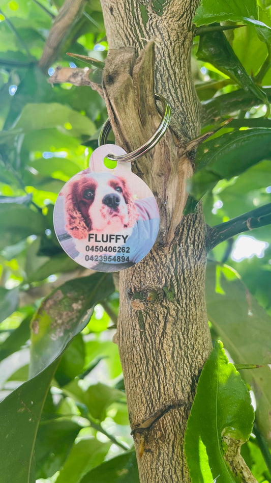 Personalised Pet tags with your pet’s picture